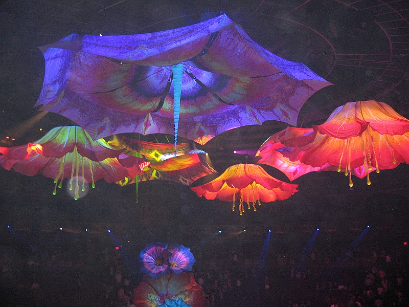 10-04-04-202528.JPG
