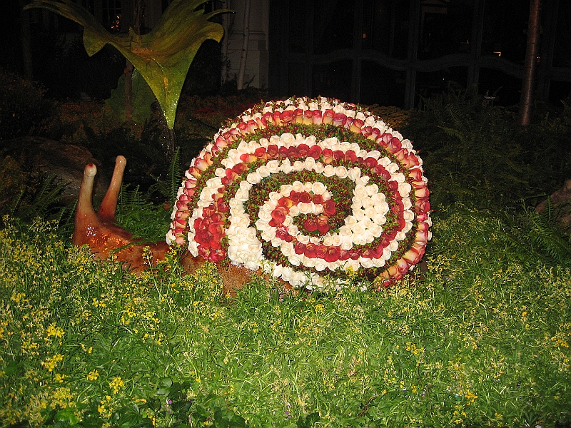 10-04-05-212752.JPG