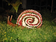 10-04-05-212752