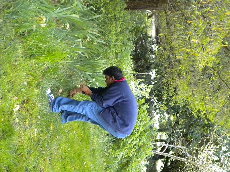 10-04-22-102916.JPG