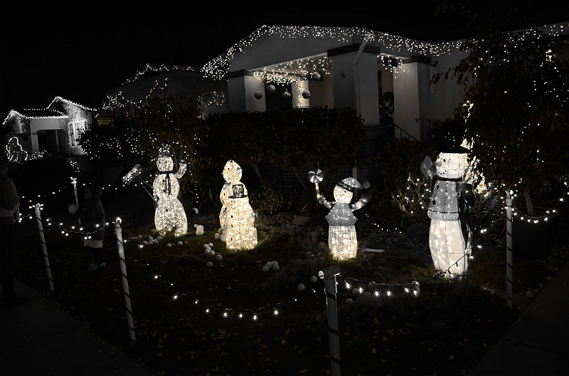 11-12-24-205401.JPG