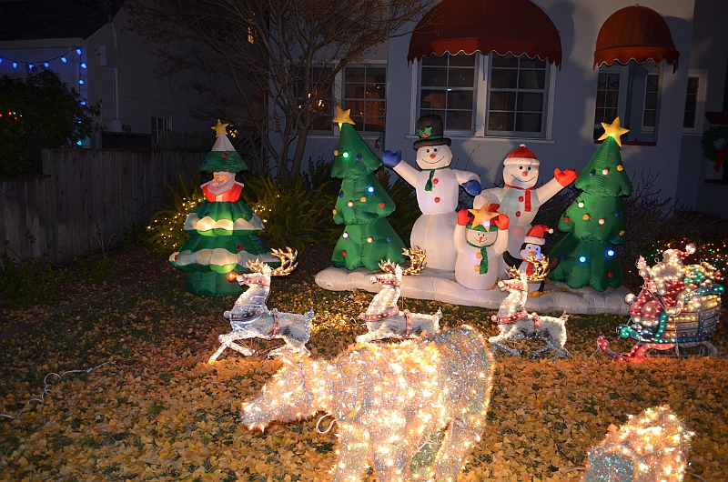 11-12-24-210037.JPG