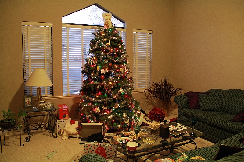 11-12-25-165606.JPG