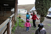 IMG_0011