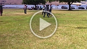 soccer