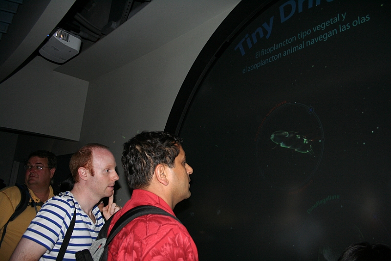 11-07-03-144550.JPG