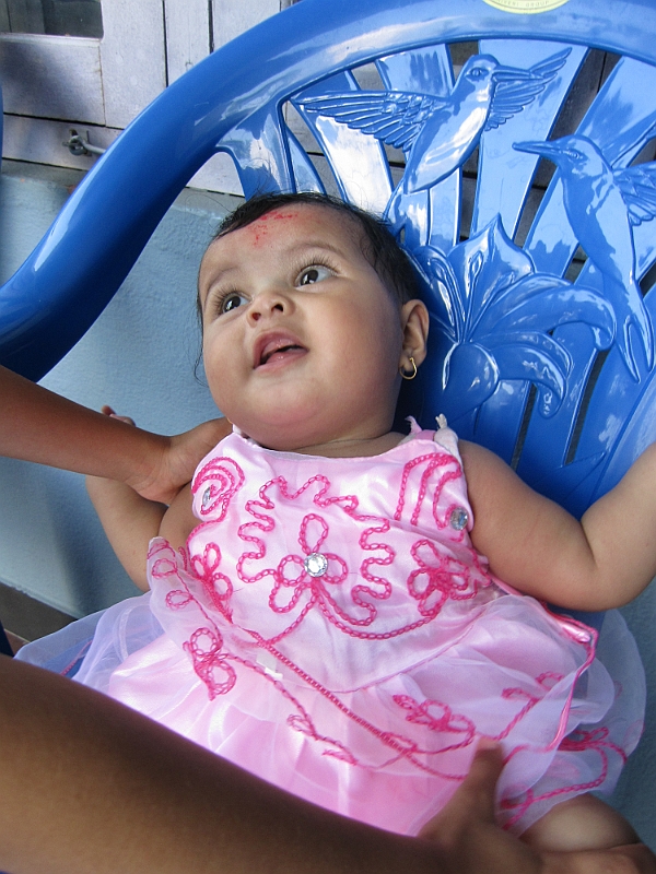 11-10-06-132806.JPG