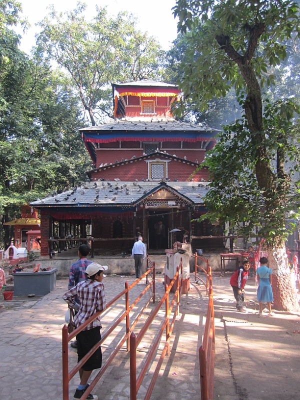 11-10-09-141725.JPG