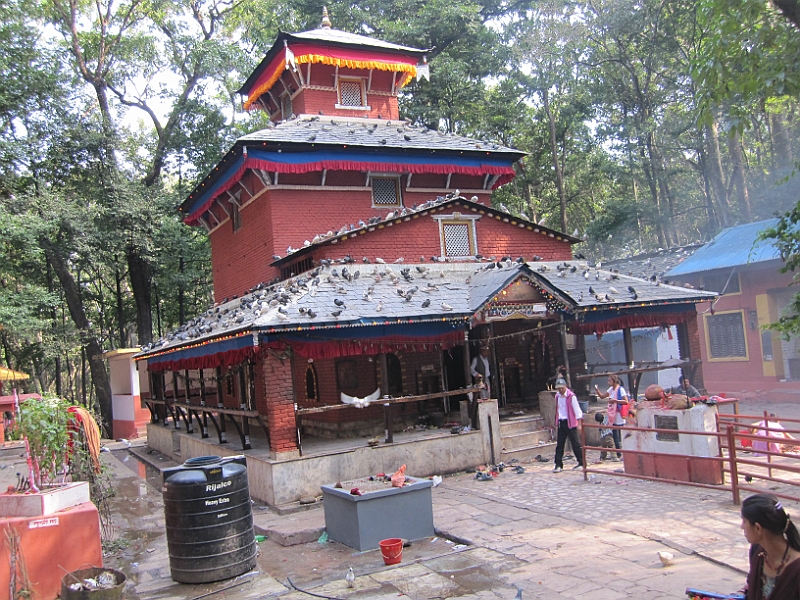 11-10-09-142530.JPG