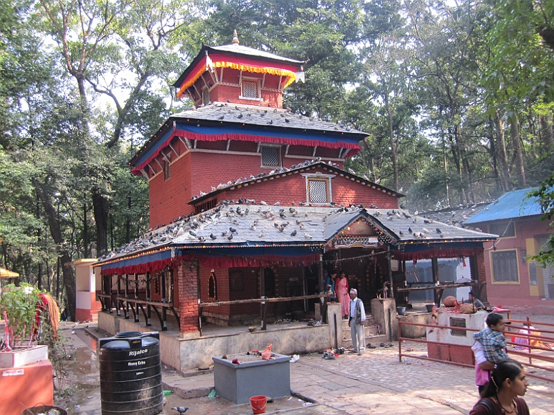 11-10-09-142549.JPG
