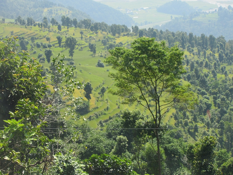 11-10-09-114955.JPG