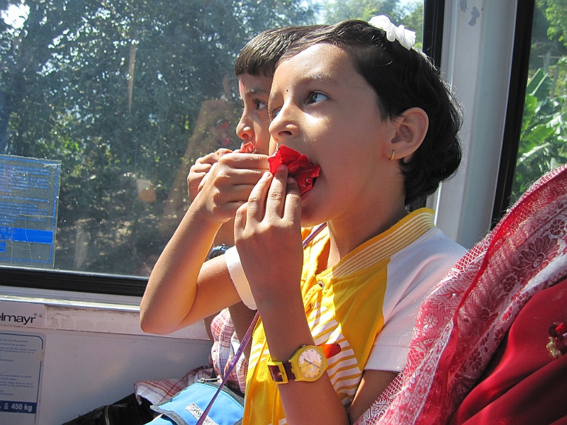 11-10-08-133503.JPG