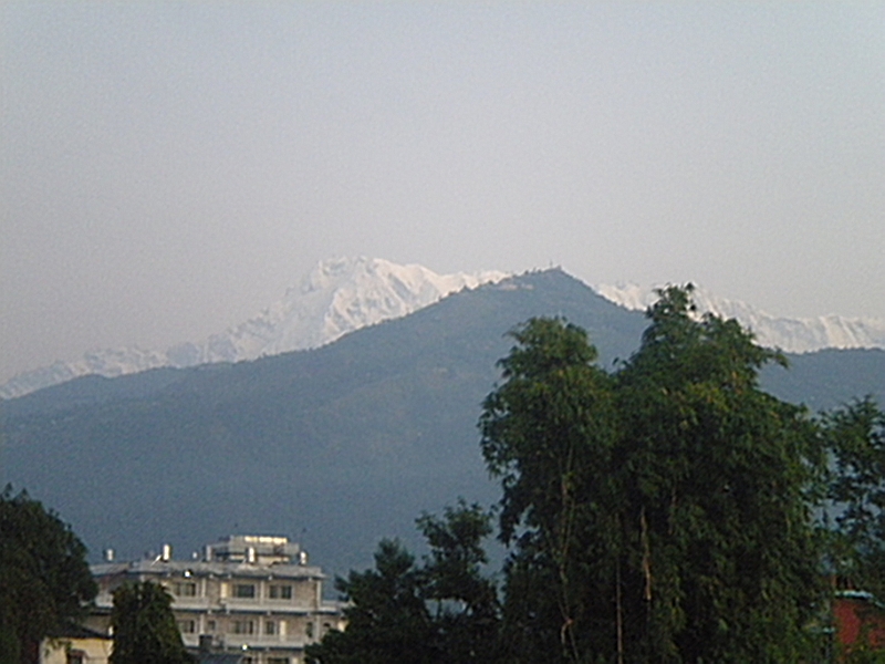 11-10-09-055728.JPG