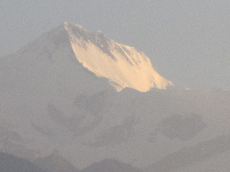11-10-09-062506.JPG