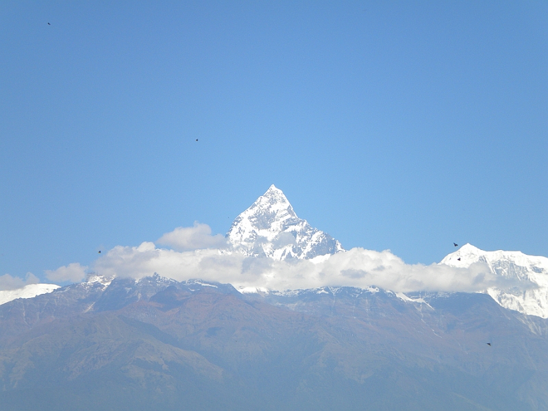 11-10-10-101021.JPG