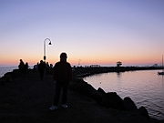 IMG_0554