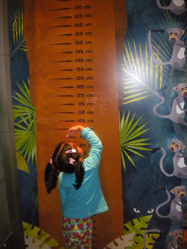 11-04-19-065813.JPG