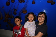 Monterey Bay Aquarium