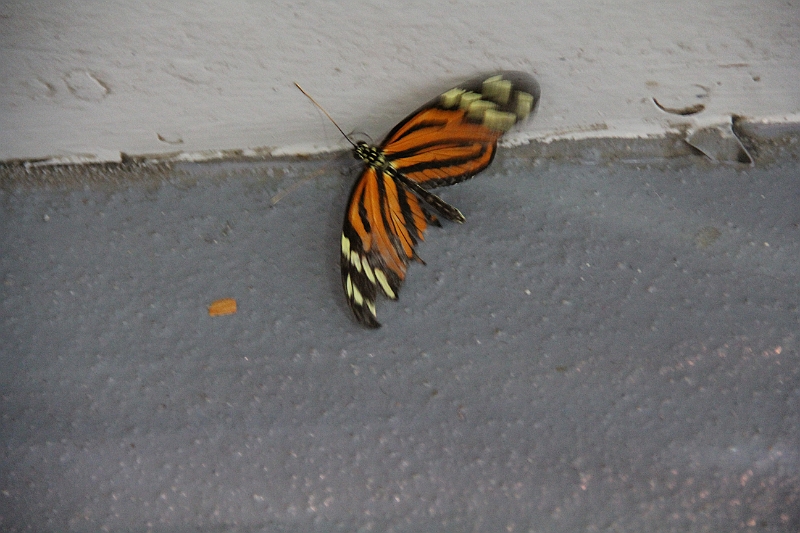 120410-134218.JPG