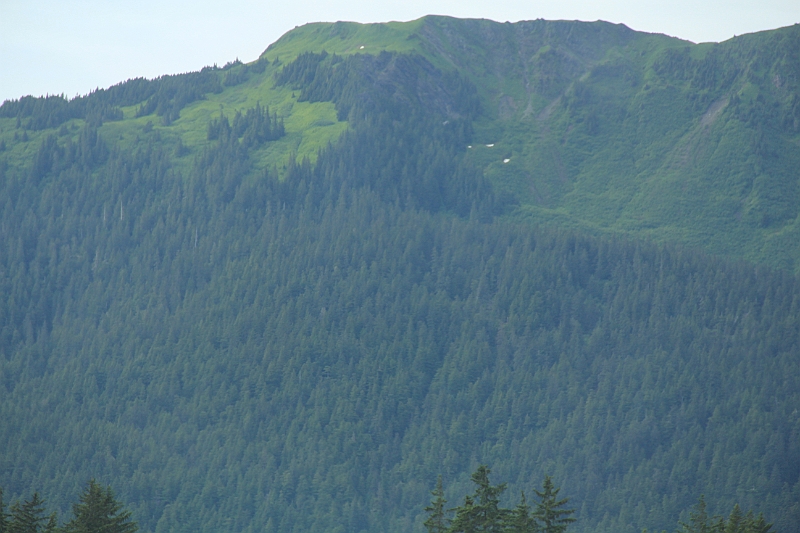 120715-1720-362.JPG