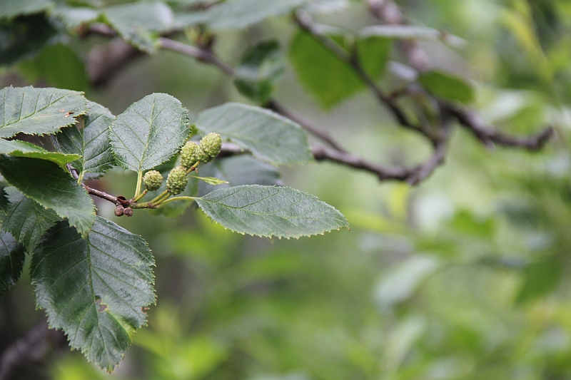 120715-1754-389.JPG