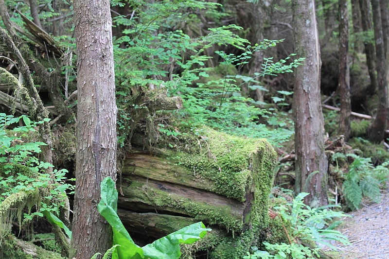 120718-1353-677.JPG
