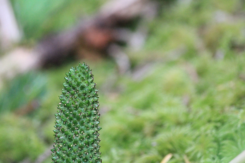 120718-1354-679.JPG