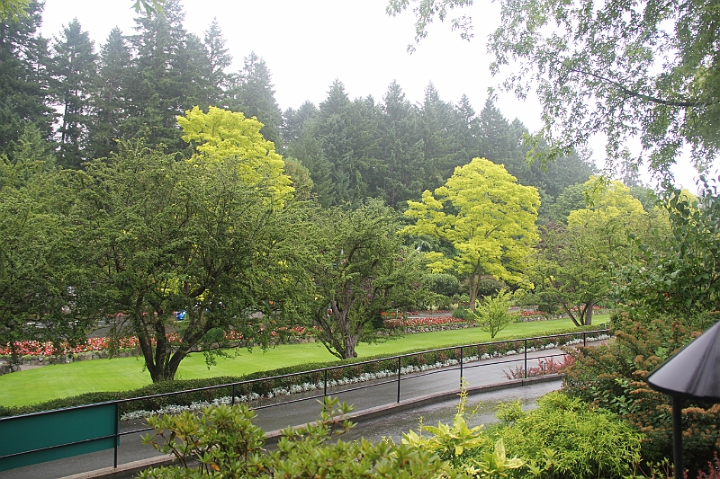 120720-0808-939.JPG