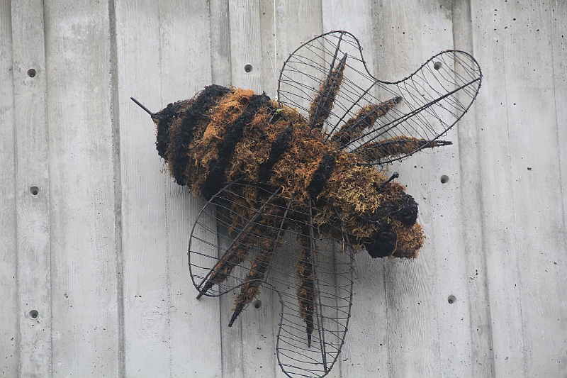 120720-0857-001.JPG