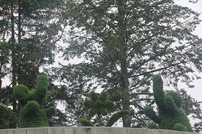 120720-0857-002.JPG
