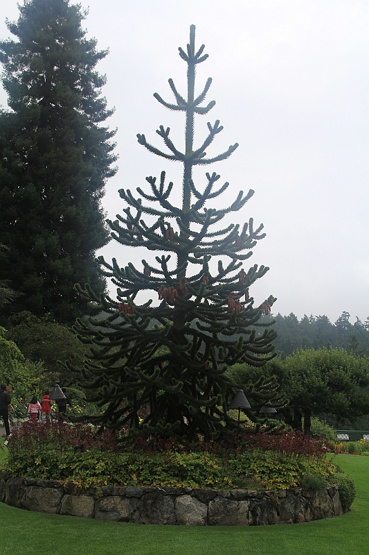 120720-0900-008.JPG