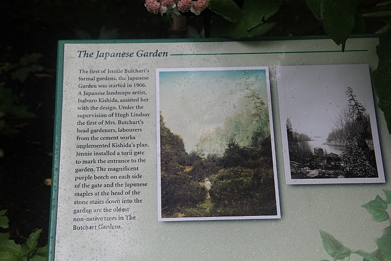 120720-0915-025.JPG