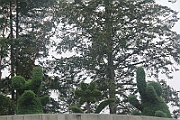 120720-0857-002