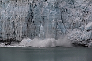 Day 5, July 16, Glacier Bay