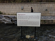 12-11-03-103348
