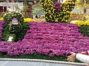 12-11-03-130552