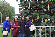 12-12-29-121406