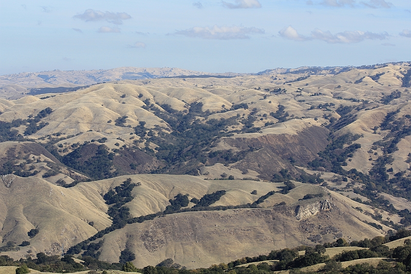 121111-120003.JPG