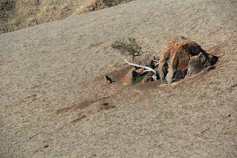 121111-130555.JPG