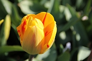 12-02-17-125808