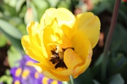 12-02-17-130018