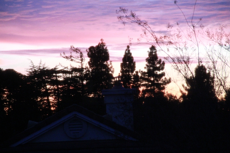 11-12-31-171851.JPG