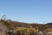 12-11-20-110544