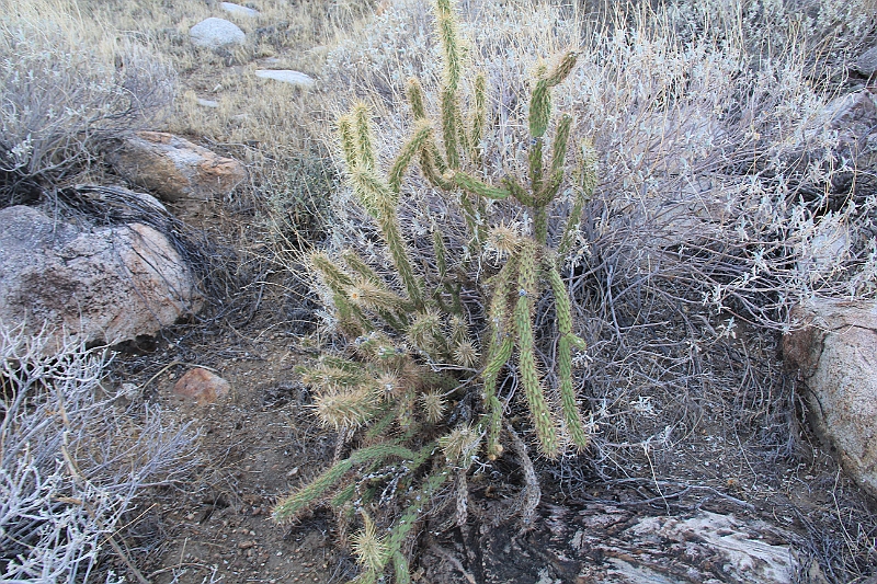 12-11-19-160833.JPG