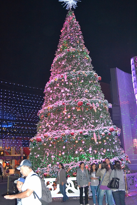 12-11-21-185634.JPG