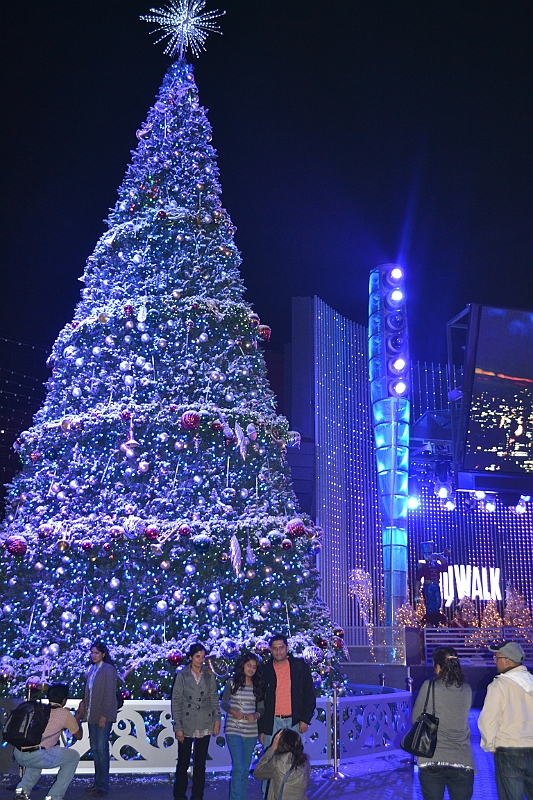 12-11-21-185643.JPG