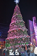 12-11-21-185630