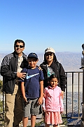 Palm Spring