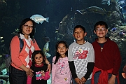 Academy of Sciences - April