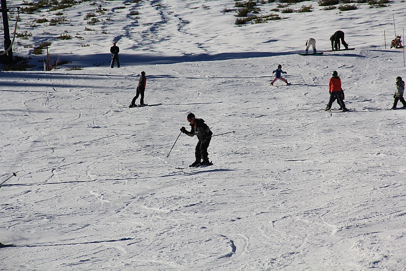 IMG_3006.JPG
